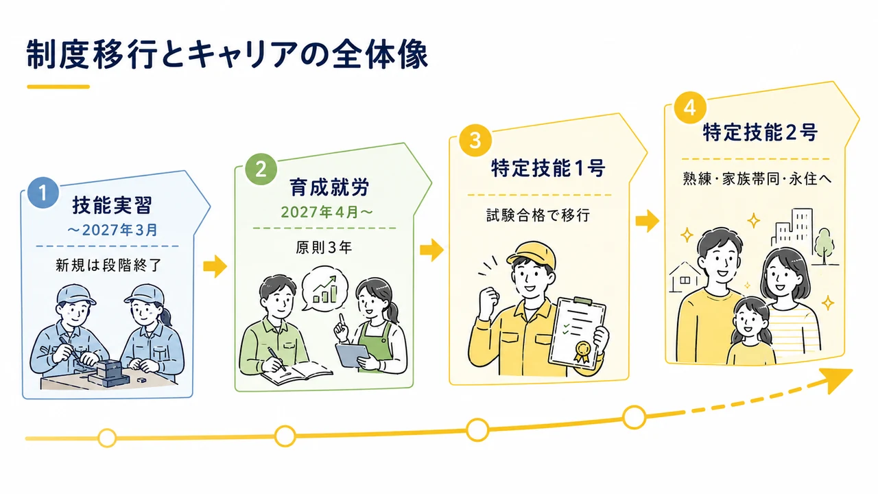制度移行とキャリアの全体像(技能実習→育成就労→特定技能1号→2号)